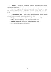 Darbuotojų saugos ir sveikatos užtikrinimo priemonės kelionių agentūroje "Keliautojas" 5 puslapis