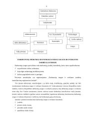 Darbuotojų saugos ir sveikatos užtikrinimo priemonės savitarnos restorane "Bella" 6 puslapis