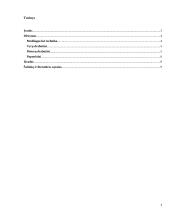 Vikingų visuomenės apranga ir papuošalai 2 puslapis