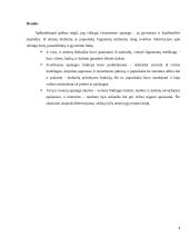 Vikingų visuomenės apranga ir papuošalai 8 puslapis