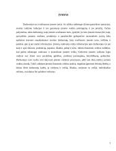 Darbuotojų skaičiaus, sudėties ir struktūros analizė 3 puslapis