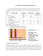 Darbuotojų skaičiaus, sudėties ir struktūros analizė 7 puslapis