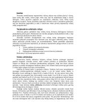 Tarptautinis arbitražas 1 puslapis