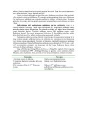 Tarptautinis arbitražas 5 puslapis