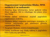 Daugianacionalinės įmonės 12 puslapis