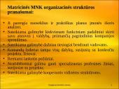 Daugianacionalinės įmonės 17 puslapis