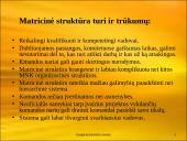 Daugianacionalinės įmonės 18 puslapis