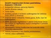 Daugianacionalinės įmonės 19 puslapis