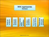 Daugianacionalinės įmonės 6 puslapis