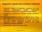 Daugianacionalinės įmonės 10 puslapis