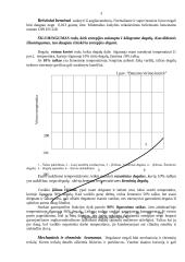 Degalai. Tepalai 2 puslapis