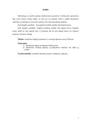 Degalų asortimentas ir vartotojo elgsenos tyrimas 2 puslapis