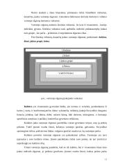 Degalų asortimentas ir vartotojo elgsenos tyrimas 13 puslapis
