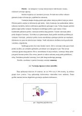 Degalų asortimentas ir vartotojo elgsenos tyrimas 17 puslapis