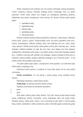 Degalų asortimentas ir vartotojo elgsenos tyrimas 6 puslapis