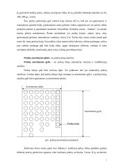 Degalų asortimentas ir vartotojo elgsenos tyrimas 7 puslapis