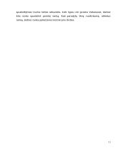 Delegacijos į Indoneziją vizitų vadyba 11 puslapis