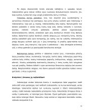 Delegacijos į Indoneziją vizitų vadyba 14 puslapis