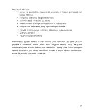 Delegacijos į Indoneziją vizitų vadyba 17 puslapis