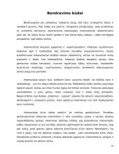 Delegacijos į Indoneziją vizitų vadyba 18 puslapis