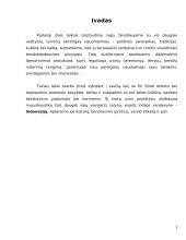 Delegacijos į Indoneziją vizitų vadyba 3 puslapis