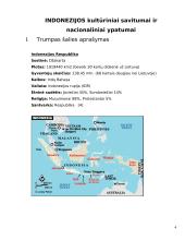 Delegacijos į Indoneziją vizitų vadyba 4 puslapis