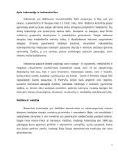 Delegacijos į Indoneziją vizitų vadyba 5 puslapis