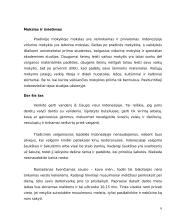 Delegacijos į Indoneziją vizitų vadyba 6 puslapis