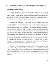 Delegacijos į Indoneziją vizitų vadyba 8 puslapis