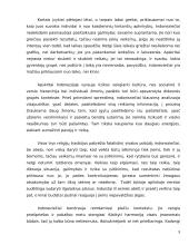 Delegacijos į Indoneziją vizitų vadyba 9 puslapis