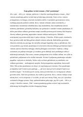 Kaip galima vertinti romano „Tūla“ pasakotoją?