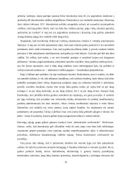 Demokratijos samprata, jos bruožai 16 puslapis