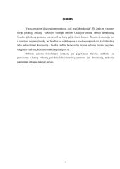 Demokratijos samprata, jos bruožai 3 puslapis