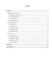 Demokratinis režimas: liberaliosios demokratijos įgyvendinimas Dž. Britanijoje ir Japonijoje 2 puslapis