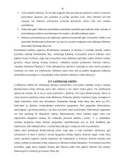 Demokratinis režimas: liberaliosios demokratijos įgyvendinimas Dž. Britanijoje ir Japonijoje 11 puslapis