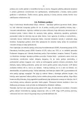 Demokratinis režimas: liberaliosios demokratijos įgyvendinimas Dž. Britanijoje ir Japonijoje 16 puslapis