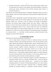 Demokratinis režimas: liberaliosios demokratijos įgyvendinimas Dž. Britanijoje ir Japonijoje 5 puslapis