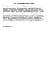 Kokia, jūsų nuomone, menininko paskirtis?