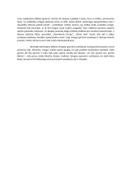 Kokie dalykai žmogui gyvenime svarbiausi? 2 puslapis