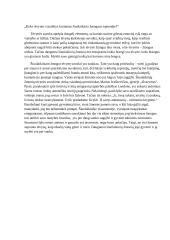 Koks tėvynės vaizdinys kuriamas šiuolaikinio žmogaus sąmonėje? (Ivaškevičius)