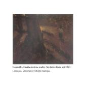 Didžiosios Britanijos dailininkai 5 puslapis