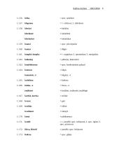 Pagrindinės lietuvių kalbos klaidos 6 puslapis