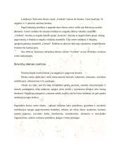 Dienos centras pagyvenusiems žmonėms 4 puslapis