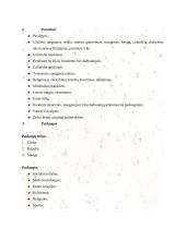 Dienos centras pagyvenusiems žmonėms 5 puslapis