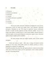 Dienos centras pagyvenusiems žmonėms 6 puslapis