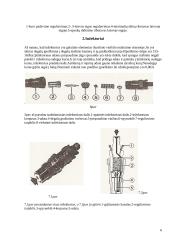 Dyzelinio automobilio kuro padavimo sistema 6 puslapis