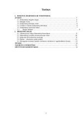 Dokumentų derinimas ir tvirtinimas 2 puslapis