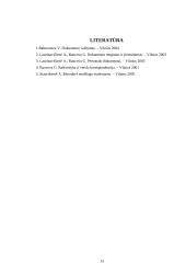 Dokumentų rengimas, derinimas ir tvirtinimas 13 puslapis