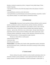 Dokumentų valdymas. Asmens bylos dokumentai 7 puslapis