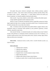 Dorovės, moralės, etikos ir moralės sampratos 2 puslapis